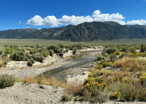 Toiyabe Range, Reese River Valley, NV (Photo Courtesy Paula Saponaro)